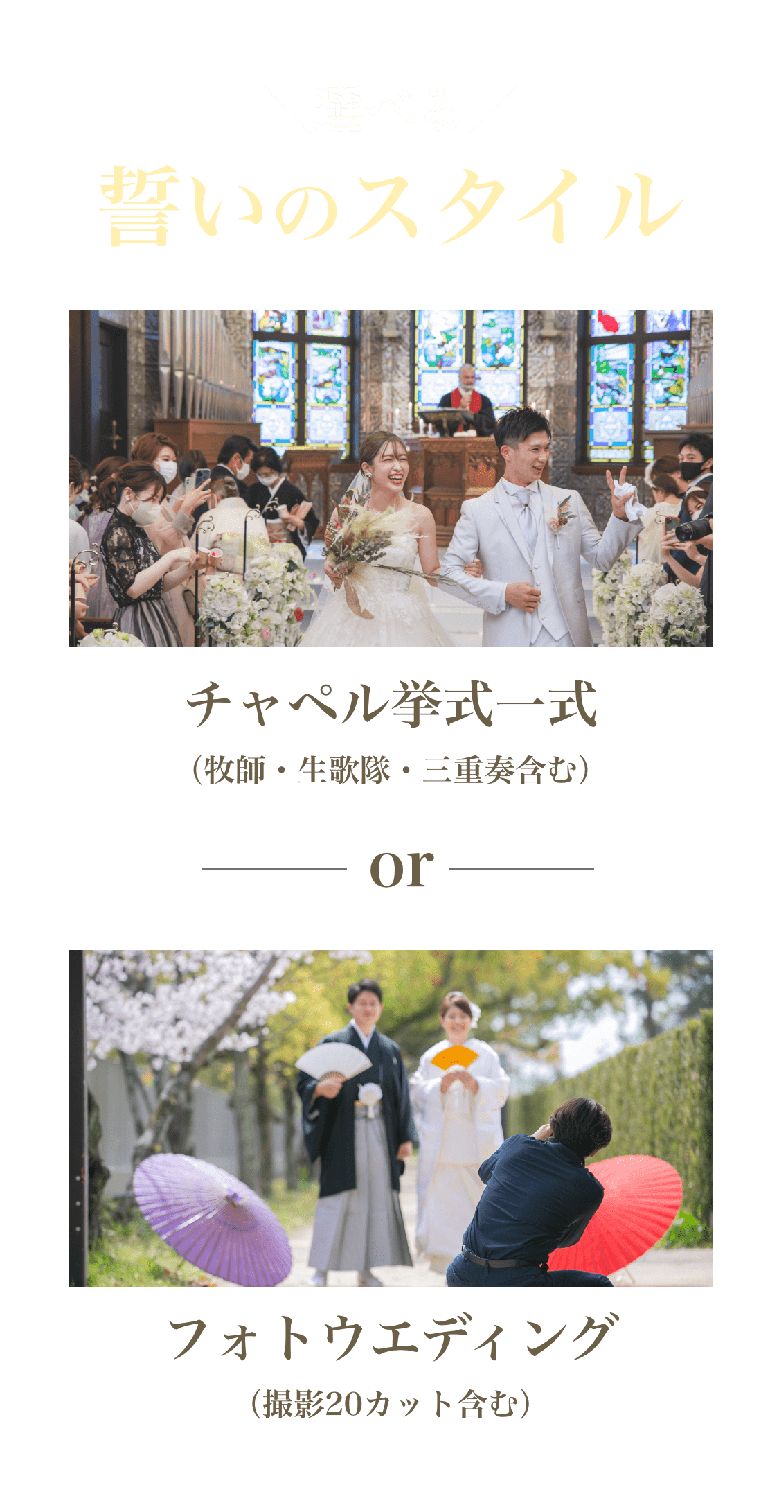 ゼニス結婚式プレゼント